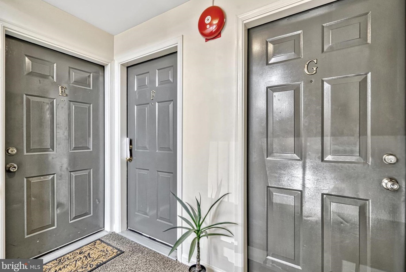 7524 Snowpea Ct, Alexandria VA 22306-2250 exterior