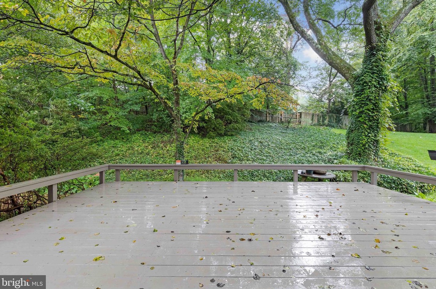 8609 Etta Dr, Springfield VA 22152-2706 exterior