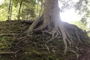 9140 Stonegarden Dr, Lorton, VA 22079 - Photo 29