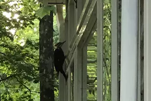 9140 Stonegarden Dr, Lorton, VA 22079 - Photo 23