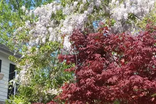 9140 Stonegarden Dr, Lorton, VA 22079 - Photo 31