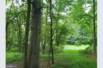 748 Kentland Drive, Great Falls, VA 22066 - Photo 7