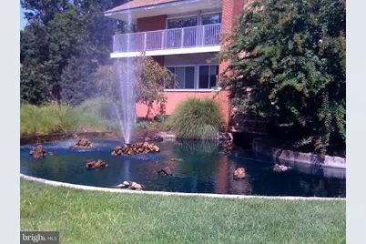 8136 Old Keene Mill Road #A209, Springfield, VA 22152 - Photo 5