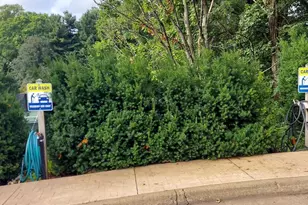 8360 Greensboro Dr, McLean, VA 22102 - Photo 67