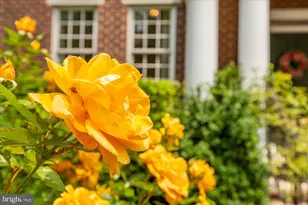 6804 Benjamin St, McLean, VA 22101 - Photo 7