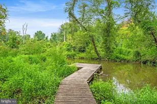 2408 William and Mary Dr, Alexandria, VA 22308 - Photo 31