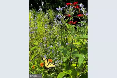 10916 Thimbleberry Lane, Great Falls, VA 22066 - Photo 101