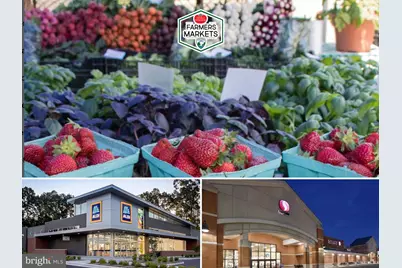 6925 Mary Caroline Circle #H, Alexandria, VA 22310 - Photo 41