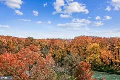 6621 Wakefield Drive #910, Alexandria, VA 22307 - Photo 11