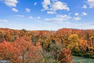 6621 Wakefield Dr, Alexandria, VA 22307 - Photo 11