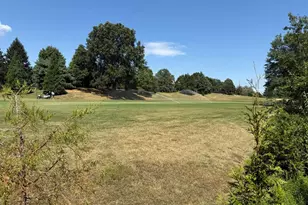 4501 Hazeltine Ct, Alexandria, VA 22312 - Photo 13