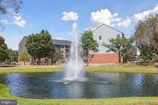 4395 Peach Lily Ln, Chantilly, VA 20151 - Photo 19