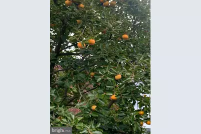 510 Walker Street SW, Vienna, VA 22180 - Photo 67