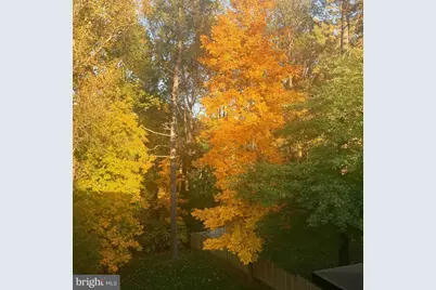 510 Walker Street SW, Vienna, VA 22180 - Photo 65