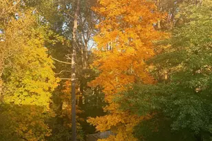 510 Walker St SW, Vienna, VA 22180 - Photo 65