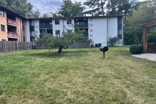 2845 Windsor Dr, Falls Church, VA 22042 - Photo 29