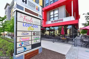 7748 New Providence Dr, Falls Church, VA 22042 - Photo 49