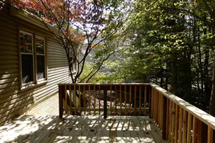 7014 Maple Tree Ln, Springfield, VA 22152 - Photo 51