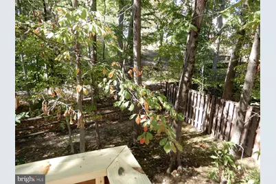 7014 Maple Tree Lane, Springfield, VA 22152 - Photo 49