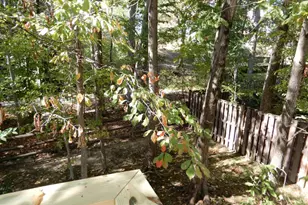 7014 Maple Tree Ln, Springfield, VA 22152 - Photo 49