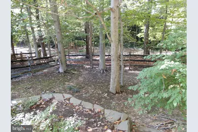 7014 Maple Tree Lane, Springfield, VA 22152 - Photo 53