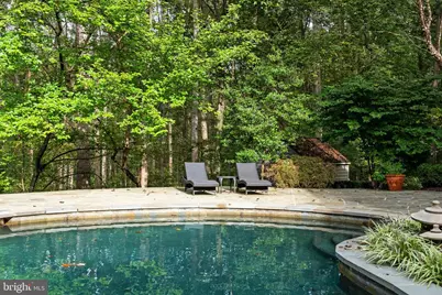 536 Springvale Road, Great Falls, VA 22066 - Photo 133