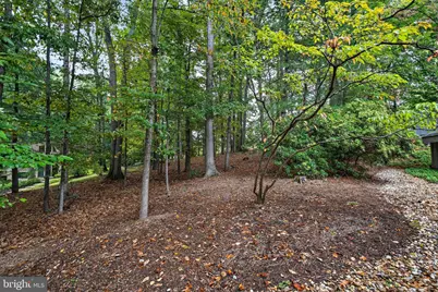 9706 Beach Mill Road, Great Falls, VA 22066 - Photo 37