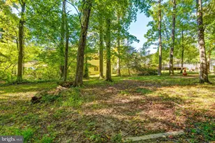 8817 Gateshead Rd, Alexandria, VA 22309 - Photo 69