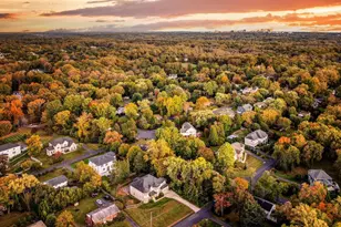 829 Golden Arrow St, Great Falls, VA 22066 - Photo 87