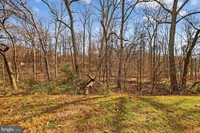 1548 Poplar Grove Drive, Reston, VA 20194 - Photo 5