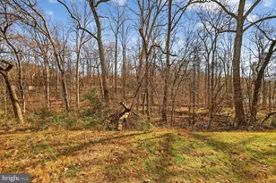 1548 Poplar Grove Dr, Reston, VA 20194 - Photo 5