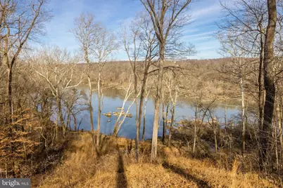 658 Live Oak Drive, McLean, VA 22101 - Photo 59