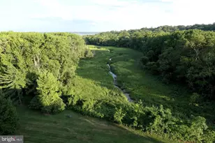 6631 Wakefield Dr, Alexandria, VA 22307 - Photo 13