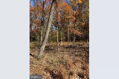 Blue Ridge Lane #24A3, Great Falls, VA 22066 - Photo 7