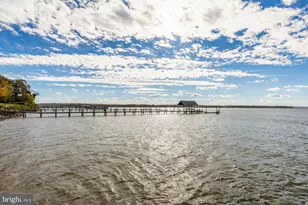 4509 Carlby Ln, Alexandria, VA 22309 - Photo 15