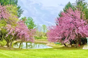 6830 Clifton Rd, Clifton, VA 20124 - Photo 67