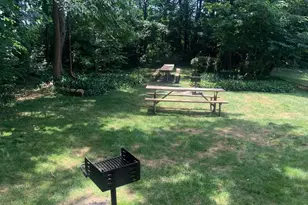 3245 Rio Dr, Falls Church, VA 22041 - Photo 11