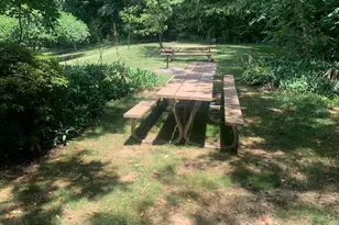 3245 Rio Dr, Falls Church, VA 22041 - Photo 5