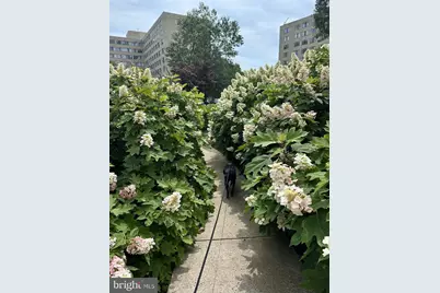 6621 Wakefield Drive #109, Alexandria, VA 22307 - Photo 31