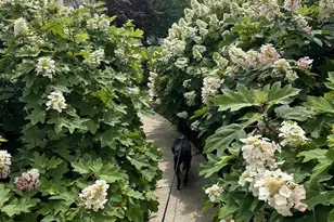 6621 Wakefield Dr, Alexandria, VA 22307 - Photo 31