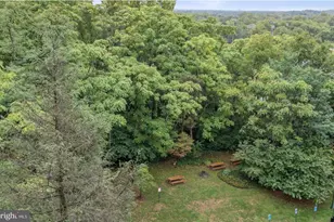 3245 Rio Dr, Falls Church, VA 22041 - Photo 15