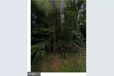 9113 Jeffery Road, Great Falls, VA 22066 - Photo 31