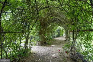 8340 Greensboro Dr, McLean, VA 22102 - Photo 51