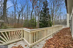 10701 Sycamore Springs Ln, Great Falls, VA 22066 - Photo 89