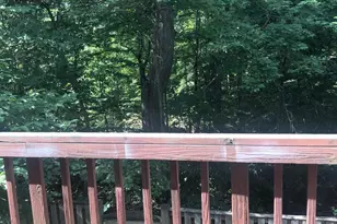 7426 Erska Woods Court, Springfield, VA 22153 - Photo 17