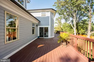 6709 S Benson Dr, Alexandria, VA 22306 - Photo 63