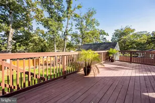 6709 S Benson Dr, Alexandria, VA 22306 - Photo 65