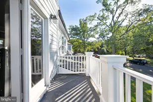 6709 S Benson Dr, Alexandria, VA 22306 - Photo 59