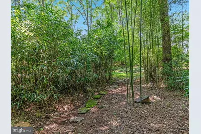 13209 Johnny Moore Lane, Clifton, VA 20124 - Photo 57