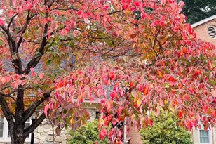 1509 Snughill Ct, Vienna, VA 22182 - Photo 9